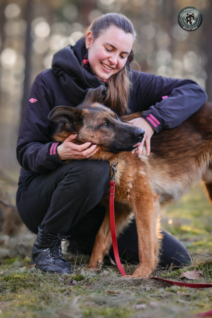 pies do adopcji pomorskie